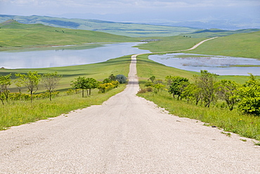 Country road leading through meadows, Davit Gareja, Georgia, Caucasus