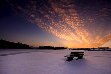 Bank on the seashore at sunset with the Alps, Fuessen, Ostallgaeu, Bavaria, Germany, Europe