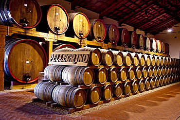 Wine cellar, Cantina Pellegrino, Marsala, Sicily, Italy, Europe