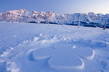 Evening with snow clover on the wintery Hochalp mountain pasture, in the Swiss Alps, Alpstein area with Mt. Saentis, Switzerland, Europe