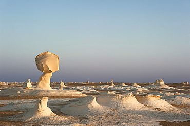 Limestone formations in the evening light, White Desert National Park, Libyan Desert, Sahara, Egypt, North Africa