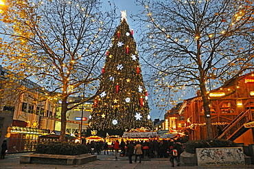 Christmas tree, Christmas market, Dortmund, Ruhr area, North Rhine-Westphalia, Germany, Europe