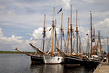 Sailing ships in the Stadthafen harbour, Hanse Sail, a maritime festival, Rostock, Mecklenburg-Western Pomerania, Germany, Europe