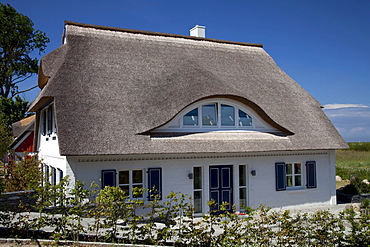 Thatched house, Baltic Sea resort town of Ahrenshoop, Fischland, Mecklenburg-Western Pomerania, Germany, Europe