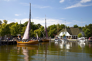 Zeesboot in the harbour, Altenhagen, Fischland, Mecklenburg-Western Pomerania, Germany, Europe