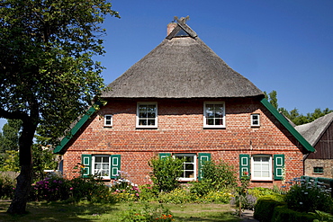 Thatched farmhouse, Baltic Sea resort town of Ahrenshoop, Fischland, Mecklenburg-Western Pomerania, Germany, Europe