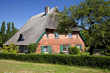 Thatched farmhouse, Baltic Sea resort town of Ahrenshoop, Fischland, Mecklenburg-Western Pomerania, Germany, Europe