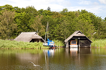 Boat houses on the Prerower Strom estuary, Fischland-Darss-Zingst peninsula, Mecklenburg-Western Pomerania, Germany, Europe