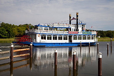 Bodden tour on the Prerower Strom estuary, Riverstar paddle steamer, Fischland-Darss-Zingst peninsula, Mecklenburg-Western Pomerania, Germany, Europe