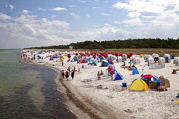 Beach, Prerow Baltic resort, Fischland-Darss-Zingst peninsula, Mecklenburg-Western Pomerania, Germany, Europe