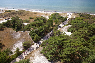 Coast at Darss, Nationalpark Vorpommersche Boddenlandschaft national park, Fischland-Darss-Zingst peninsula, Mecklenburg-Western Pomerania, Germany, Europe