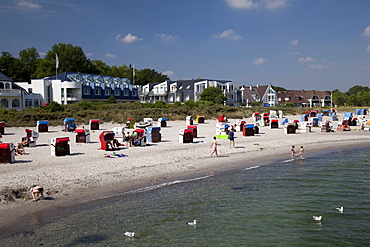 Coast and beach, Baltic resort Hohwacht, Hohwachter Bucht bay, Baltic Coast, Schleswig-Holstein, Germany, Europe