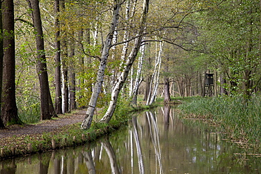 Landscape on the Fliess River, Luebbenau, Spreewald Biosphere Reserve, Brandenburg, Germany, Europe