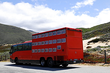 Rotel coach, a bus incorporating a mobile hotel, travelling near Big Sur, Pacific Ocean, California, USA, North America