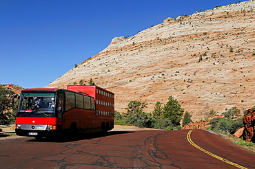 Rotel coach next to Checkerboard Mesa, sandstone, Zion National Park, Utah, USA, North America