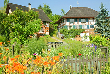 Farm houses with cottage gardens in Amlikon-Bissegg, Canton Thurgau, Switzerland, Europe