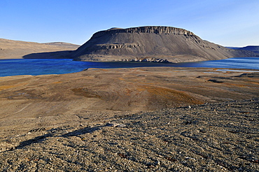 Arctic tundra at Maxwell Bay, Devon Island, Northwest Passage, Nunavut, Canada, Arctic