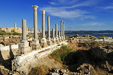 Antique archeological site of Tyros, Tyre, Sour, Unesco World Heritage Site, Lebanon, Middle East, West Asia