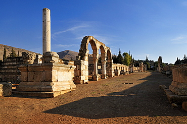 Ancient Umayyad ruins at the archeological site of Anjar, Aanjar, Unesco World Heritage Site, Bekaa Valley, Lebanon, Middle East, West Asia