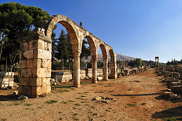 Antique Umayyad ruins at the archeological site of Anjar, Aanjar, Unesco World Heritage Site, Bekaa Valley, Lebanon, Middle East, West Asia