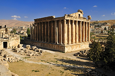 Bacchus temple and antique ruins at the archeological site of Baalbek, Unesco World Heritage Site, Bekaa Valley, Lebanon, Middle East, West Asia