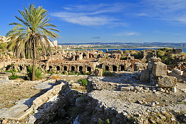 Archeological site of Tyros, Tyre, Sour, Unesco World Heritage Site, Lebanon, Middle East, West Asia