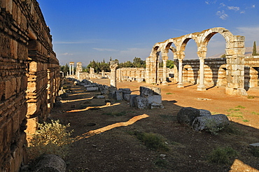 Antique Umayyad ruins at the archeological site of Anjar, Aanjar, Unesco World Heritage Site, Bekaa Valley, Lebanon, Middle East, West Asia