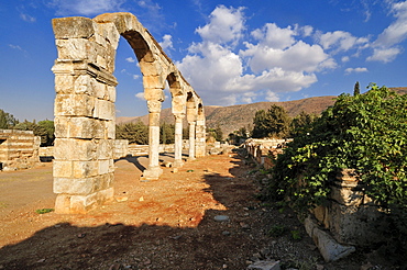 Antique Umayyad ruins at the archeological site of Anjar, Aanjar, Unesco World Heritage Site, Bekaa Valley, Lebanon, Middle East, West Asia