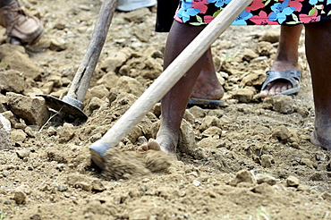 Inhabitants of a mountain village building a road with the assistance of an aid organisation, they want to link their village to the main road to allow economic development in the community, Bordes, Leogane, Ouest Department, Haiti, Caribbean, Central Ame