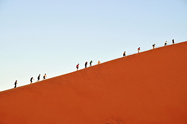 Tourists climbing Dune 45 near Sossusvlei, Namib Desert, Namib Naukluft Park, Namibia, Africa