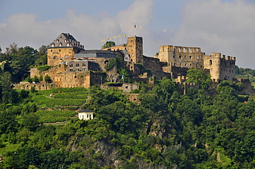 Burg Rheinfels castle in St. Goar, UNESCO World Heritage Site Oberes Mittelrheintal valley, Rhineland-Palatinate, Germany, Europe