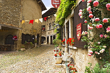 Cobblestone street, medieval walled town of Perouges, France, Europe