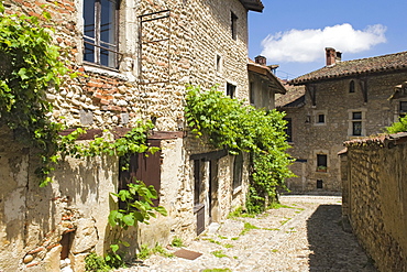 Cobblestone street, medieval walled town of Perouges, France, Europe