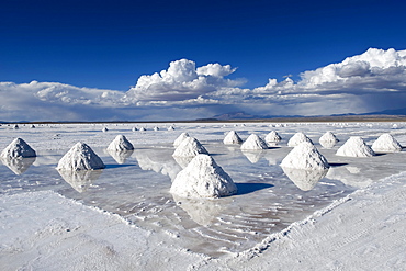 Salt cones, Salar de Uyuni, Potosi, Bolivia, South America