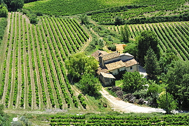 Farm near Vaison-la-Romaine, Vaucluse department, Provence-Alpes-Cote dÃƒÂ­Azur region, France, Europe