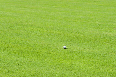 Silver golf ball on the green