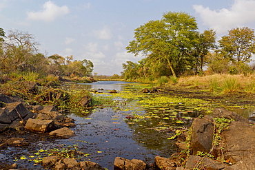 Machampane river in Limpopo National Park, Mozambique, Africa