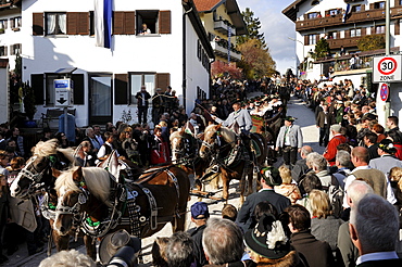 Leonhardifahrt, a procession with horses for the feast day of Saint Leonard of Noblac, Bad Toelz, Upper Bavaria, Bavaria, Germany, Europe