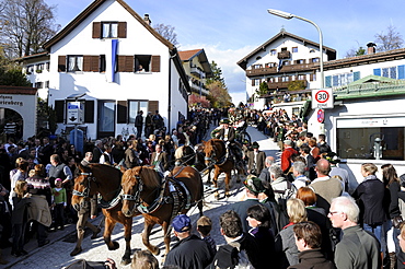 Leonhardifahrt, a procession with horses for the feast day of Saint Leonard of Noblac, Bad Toelz, Upper Bavaria, Bavaria, Germany, Europe