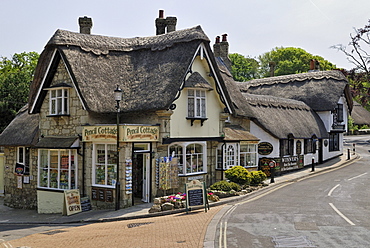 Thatched cottages and a tea shop with souvenirs, Shanklin Old Village, Isle of Wight, southern England, England, United Kingdom, Europe