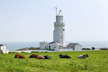 St. Catherine's Lighthouse, St. Catherine's Point, Isle of Wight, southern England, England, United Kingdom, Europe