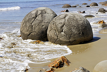 Geological formation of the Moeraki Boulders, partial view, Moeraki, East Coast, South Island, New Zealand