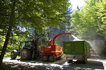 Fuelwood collection, shredding fuelwood, shredding company at work in the woods near Wilzhofen, Upper Bavaria, Bavaria, Germany, Europe