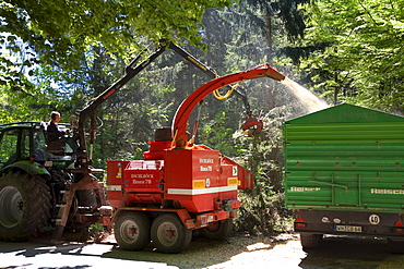 Fuelwood collection, shredding fuelwood, shredding company at work in the woods near Wilzhofen, Upper Bavaria, Bavaria, Germany, Europe