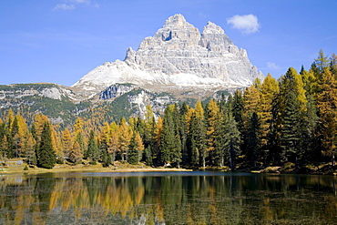 Autumn trees on lake Autorno, Tre Cime di Lavaredo, three distinctive battlement-like peaks, Dolomites, Province of Bolzano-Bozen, Italy, Europe