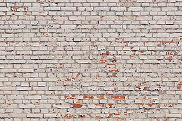 Whitewashed brick wall, background