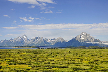 Willow Flats with Teton Range mountain chain and Mount Moran and Jackson Lake at back, Grand Teton National Park, Wyoming, USA, North America