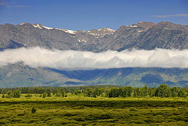 Willow Flats off the Teton Range, Grand Teton National Park, Wyoming, United States of America, USA