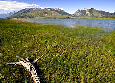 Jackson Lake off the Teton Range, Mount Moran, Grand Teton National Park, Wyoming, United States of America, USA