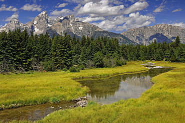 Snake River, Schwabacher Landing, in front of the Teton Range, Grand Teton National Park, Wyoming, United States of America, USA